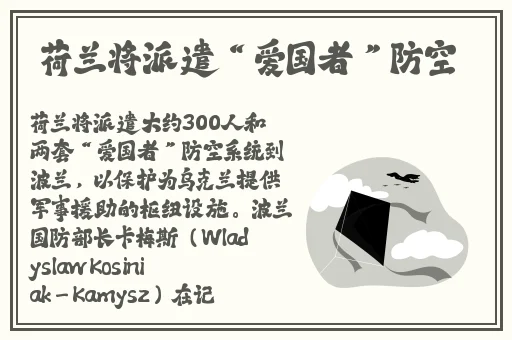麻天美果冻星空大象乌鸦